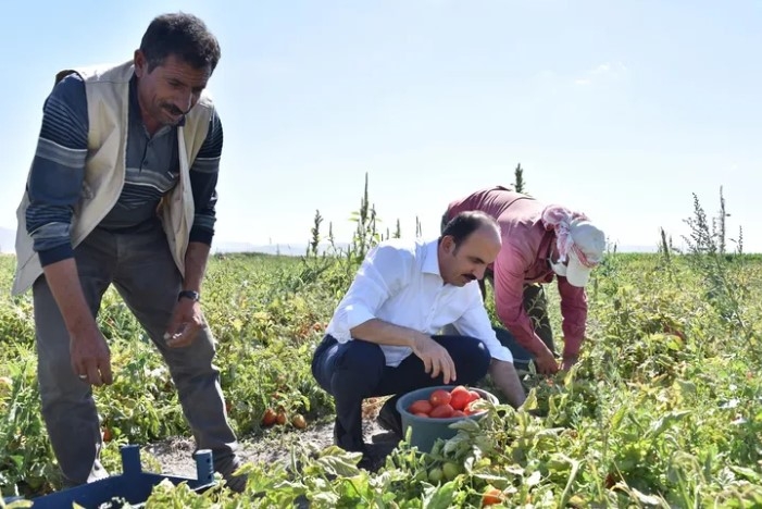2026 Yılı Konya Fidan ve Fide Destekleri İçin Başvurular Açıldı