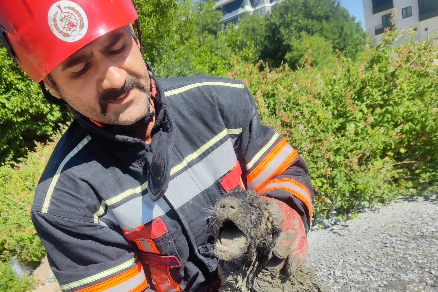 Betona Sıkışan Köpek İtfaiyenin Müdahalesiyle Kurtarıldı