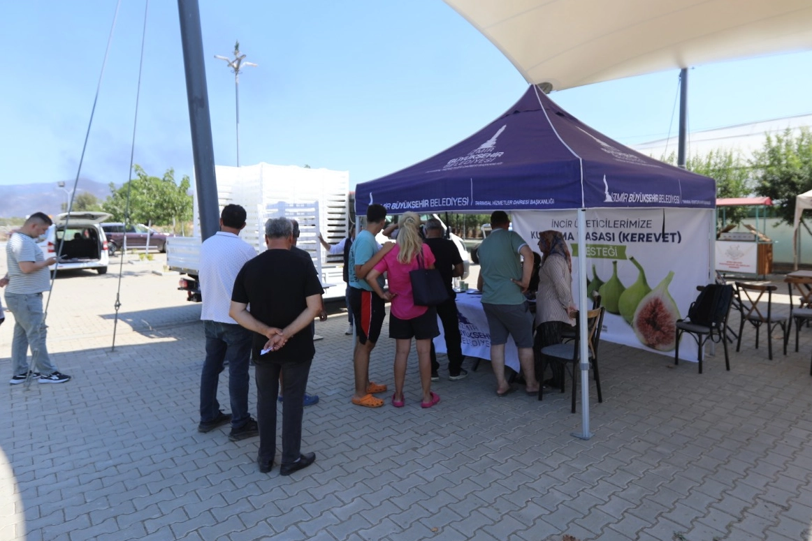 İzmir’de Efes Selçuklu İncir Üreticilerine Büyükşehir Desteği