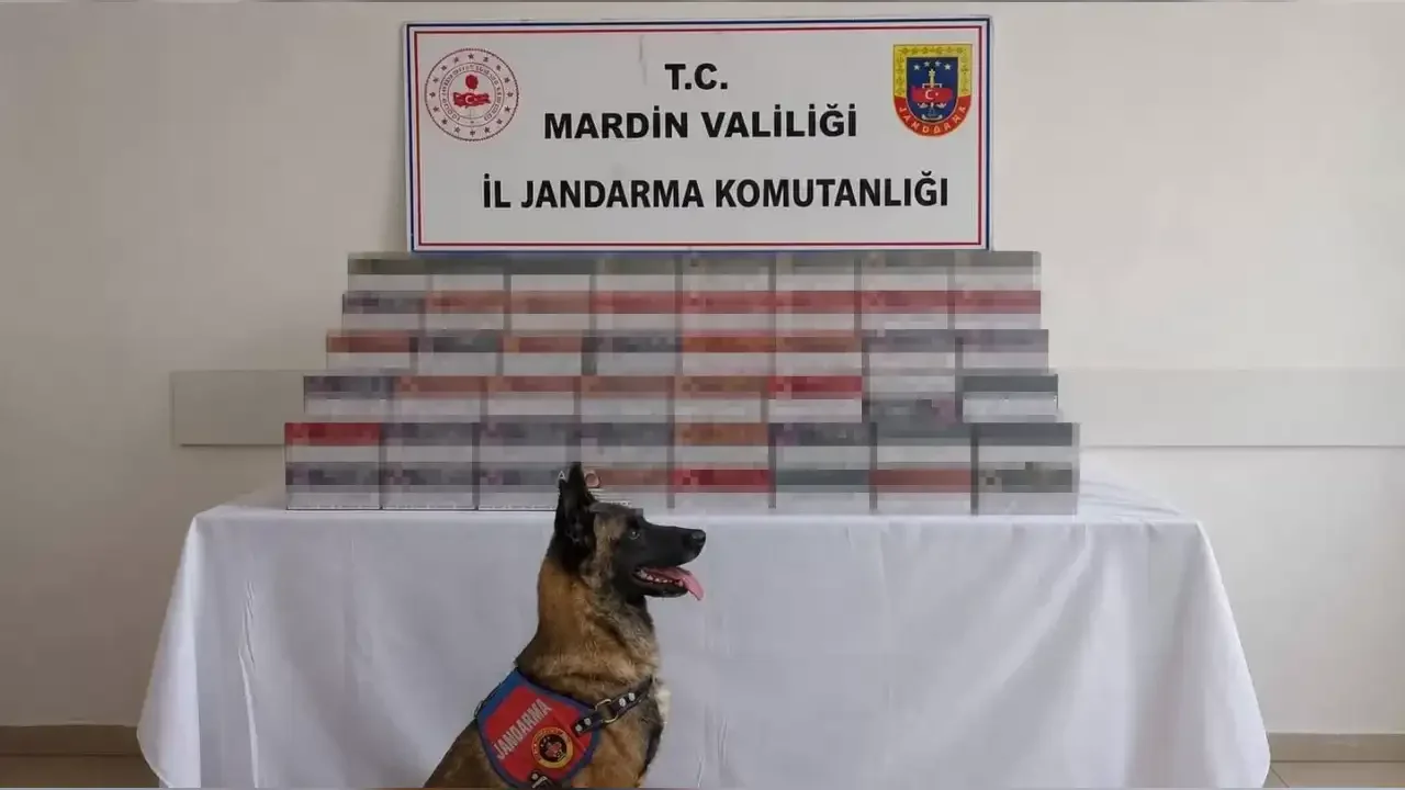 Mardin’de kaçakçılık operasyonu: 35 şüpheli