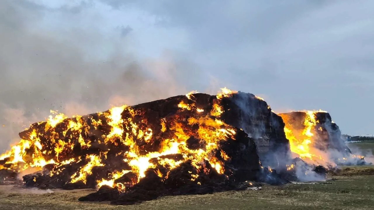 Yozgat'ta yıldırım 500 ton samanı yok etti