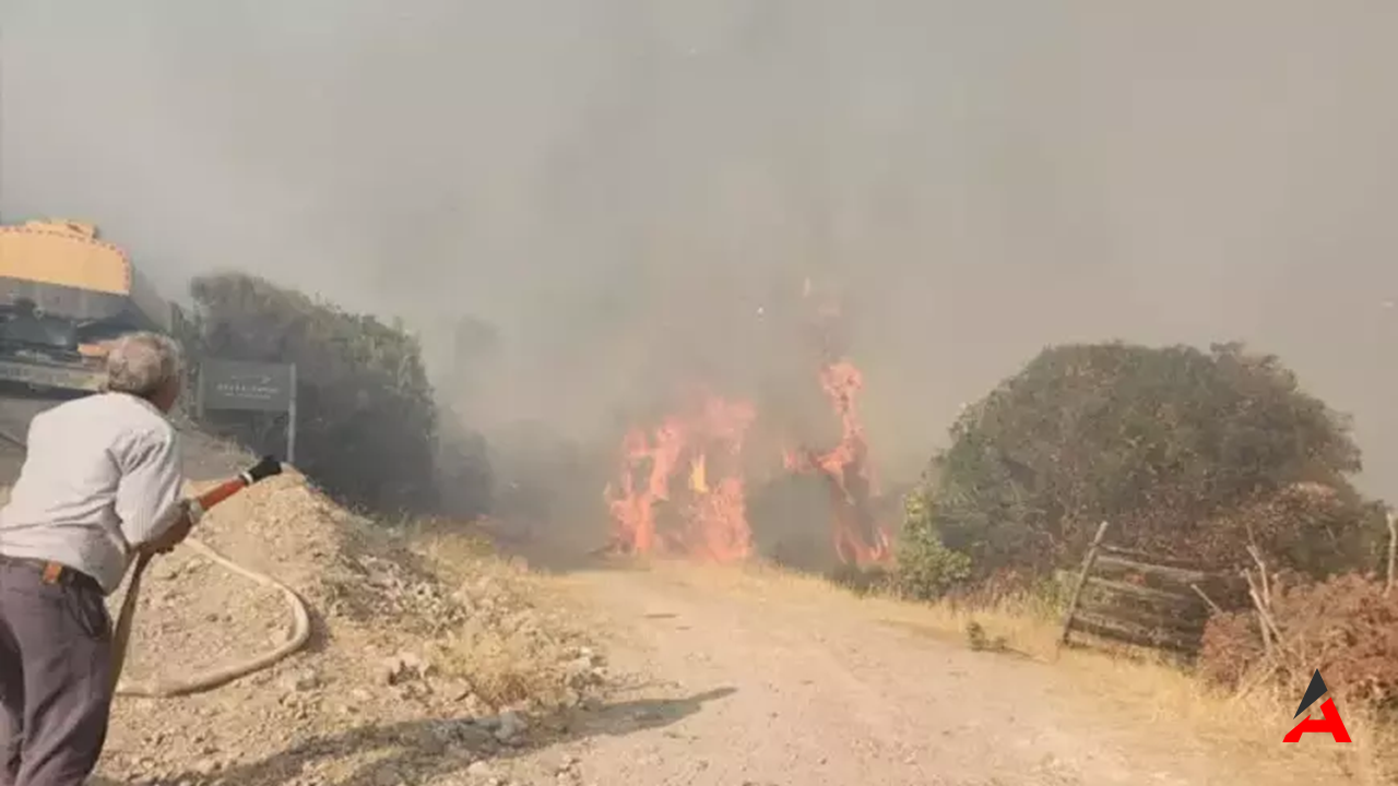 Çanakkale Ayvacık'ta Orman Yangını: Ekipler Havadan ve Karadan Müdahale Ediyor