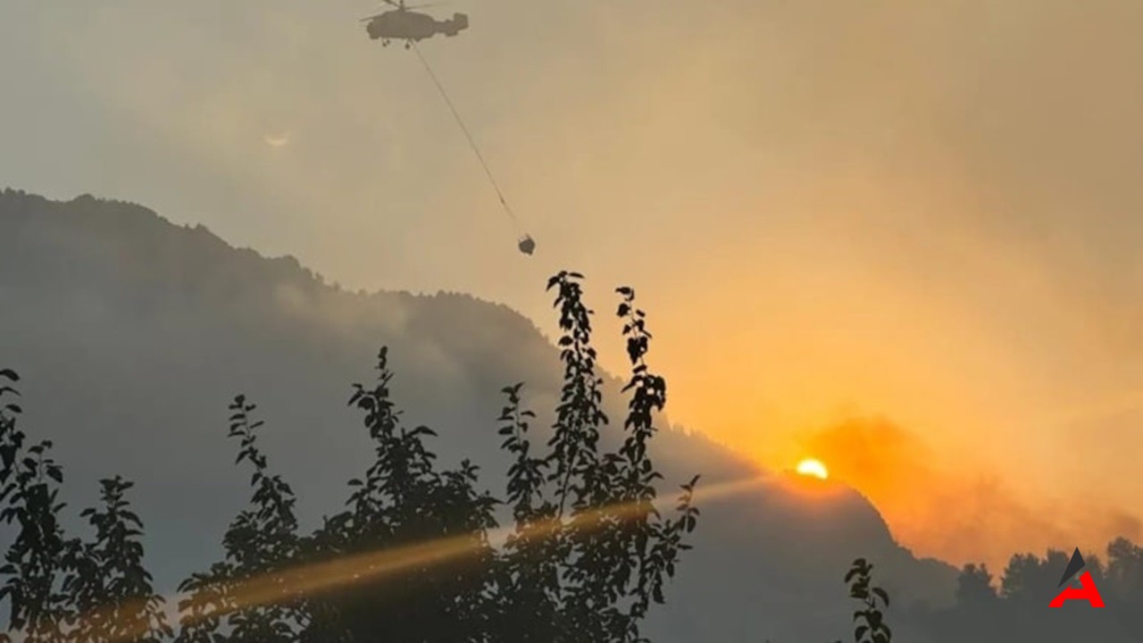 Şaka İçin Patlatılan Torpil, Kahramanmaraş'ta 80 Hektar Ormanı Yaktı