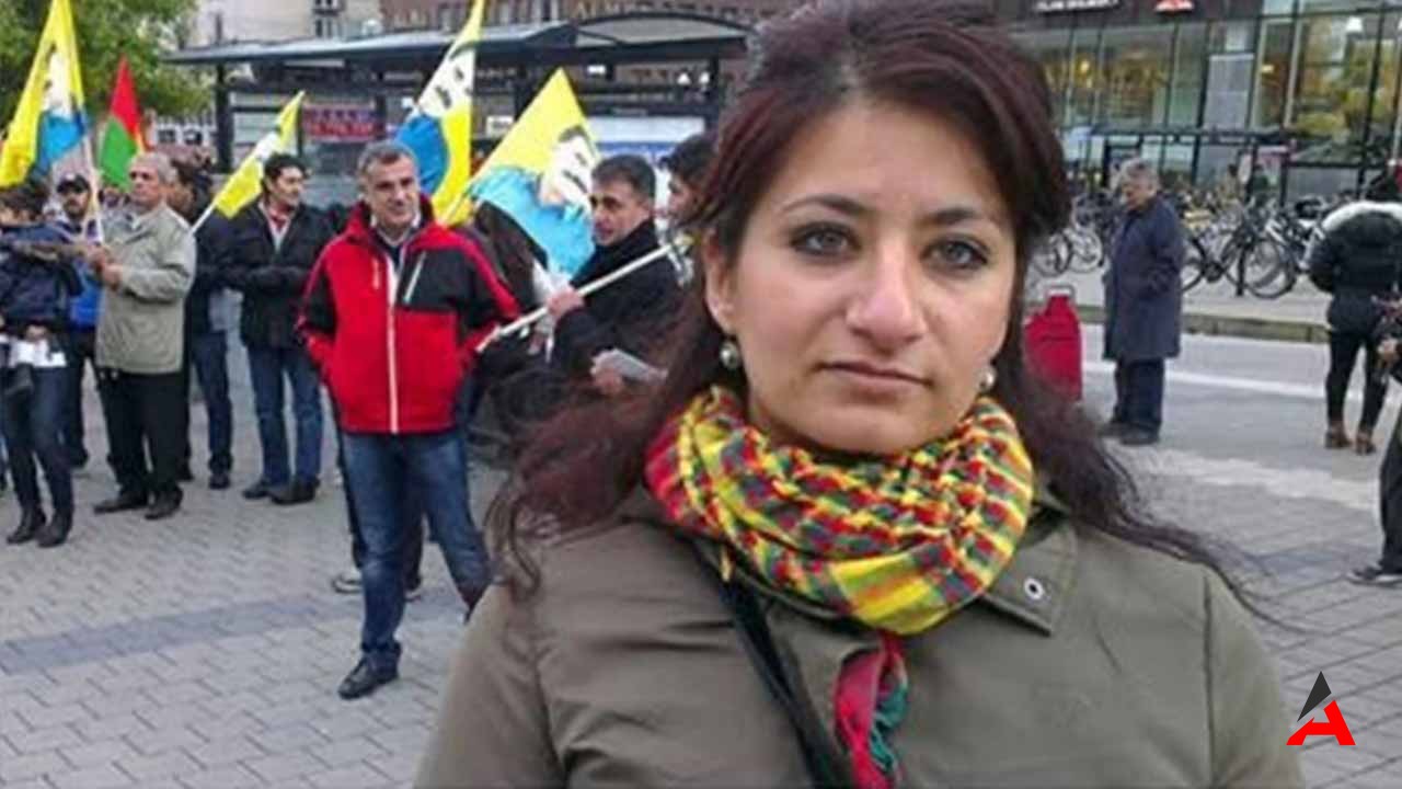 Mardin'de Büyük Operasyon: İsveç Vatandaşı PKK/KCK Üyesi Yakalandı!