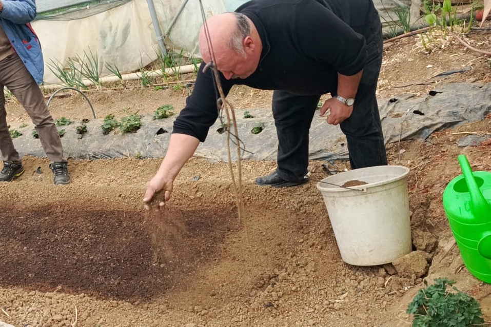 Pazaryeri’nde Tütün Umudu: Üreticide Yüzler Gülüyor