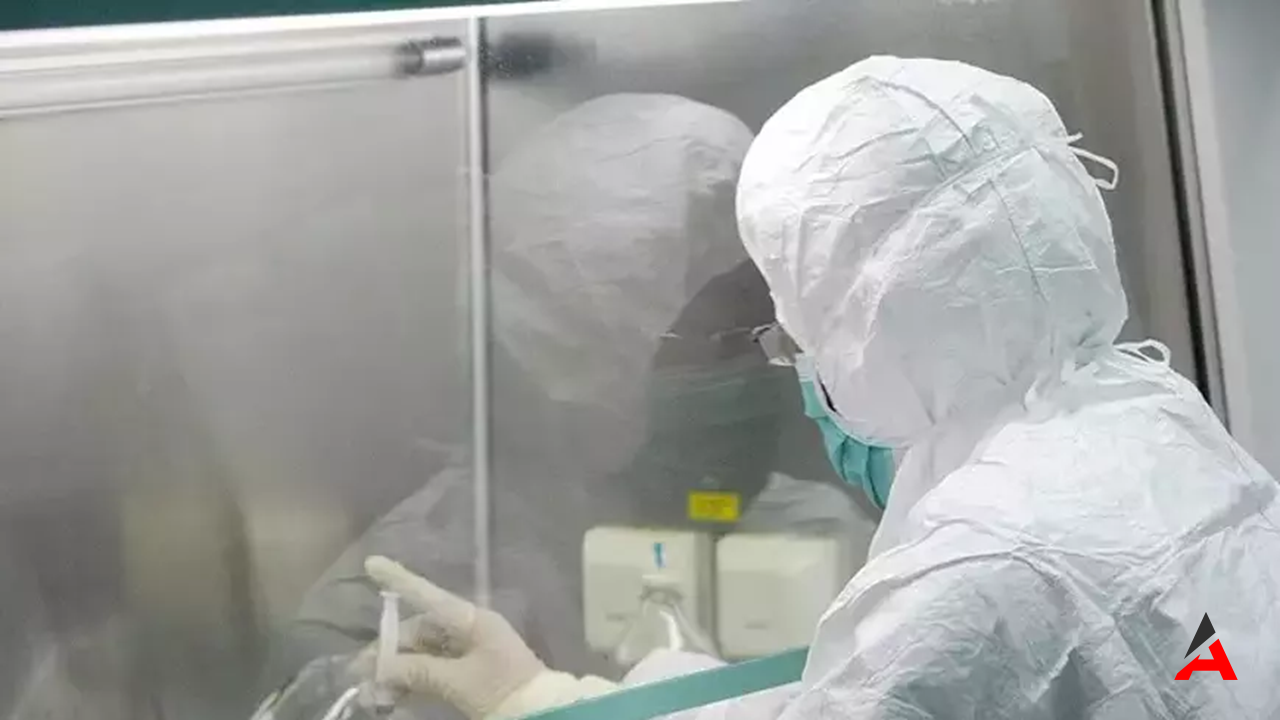 Afrika'da Maymun Çiçeği Alarmı: Kıtada Halk Sağlığı Acil Durumu İlan Edildi!