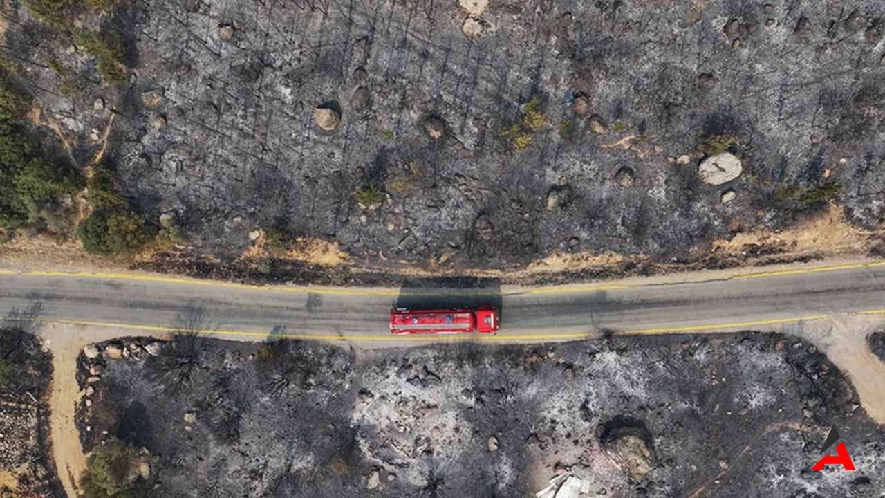 İzmir’de Yangının Vahşeti Gün Ağarınca Ortaya Çıktı!