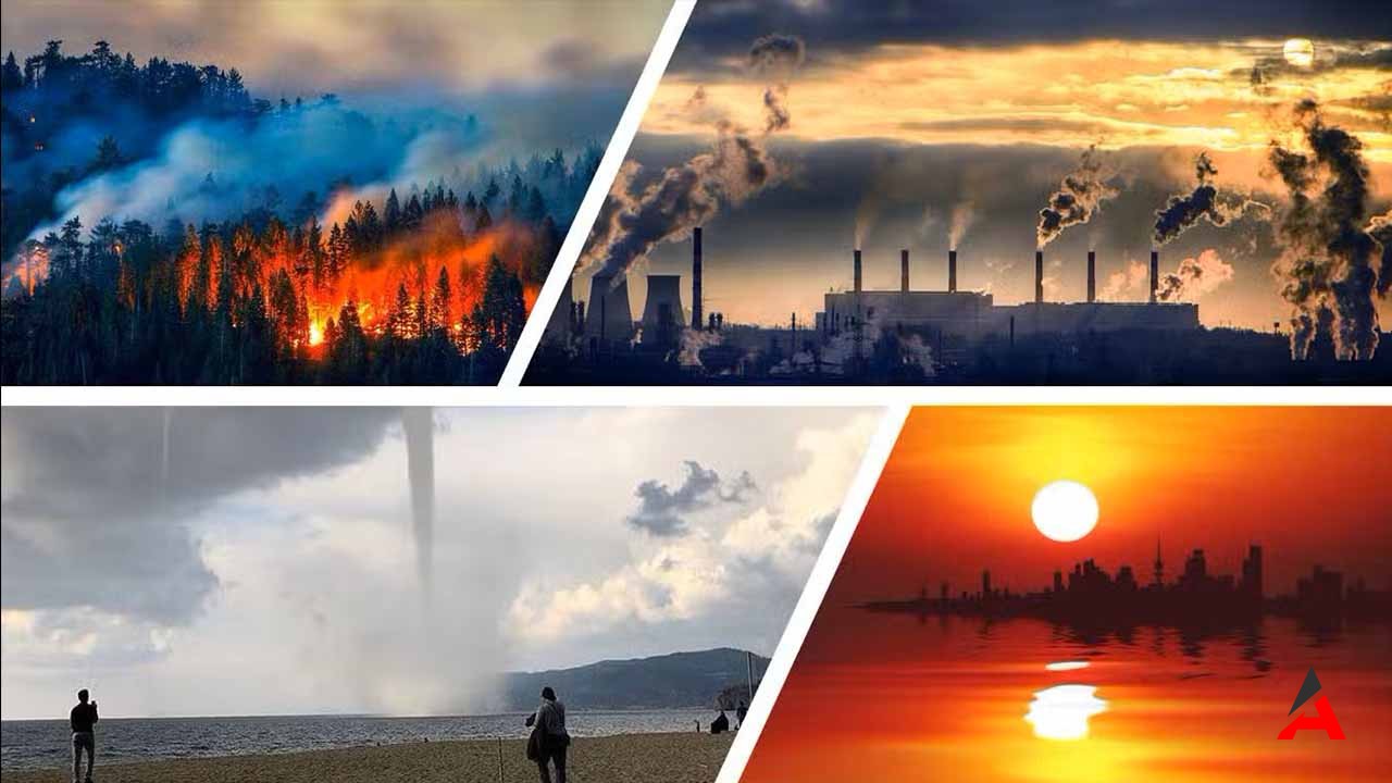 Aşırı Sıcaklar Böyle Devam Ederse Dünyayı Neler Bekliyor?