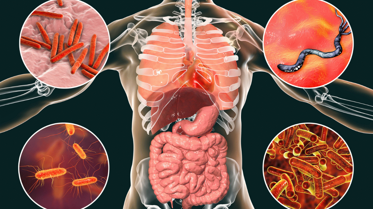 E-coli Bakterisi Hakkında Bilmeniz Gerekenler: Bulaşma Yolları, Belirtileri ve Tedavi Seçenekleri